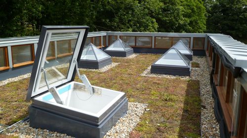 Фонарь для плоской крыши - ROKE PRIMARY SCHOOL - Sunsquare Limited 