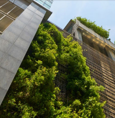 "зеленая стена" из живых растений - FOREST - GREEN WALL - POHL Metal Systems GmbH - стабилизированная / из модульных панелей / натуральная