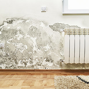 Штукатурка влагопоглощения - GUARD HARDENER® RD - GUARD INDUSTRIE - для наружного использования / внутренняя / для стены