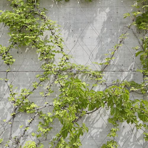 Металлическая сетка из нержавеющей стали - GREENING - JAKOB FRANCE  - для фасада / с ромбовидной ячейкой