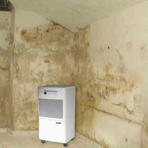 Переносной влагопоглотитель - DT 650 - Dantherm Group A/S - для профессионального использования