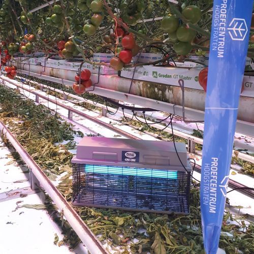 Ловушка для насекомых для профессионального использования - 308E - MO-EL - лампа