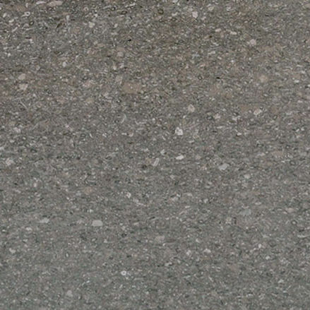 Плита из камня из мрамора - FOSSIL GREY - PAYANINI SRL - для напольной поверхности / для внутренней компоновки / матовая