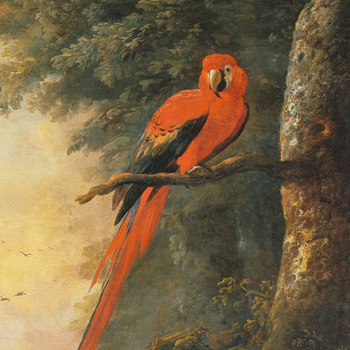 Современный обои - RED MACAW 1/2 - Papiers de Paris - с рисунком животных / имитация обоев / многоцветный