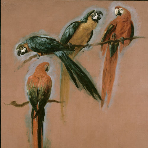 Декоративная панель для настила - 4 MACAWS - Papiers de Paris - настенная / с высоким сопротивлением / из бумаги