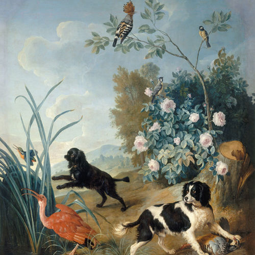Современный обои - DOGS&BIRDS 1/4 - Papiers de Paris - природный мотив / с рисунком животных / имитация обоев