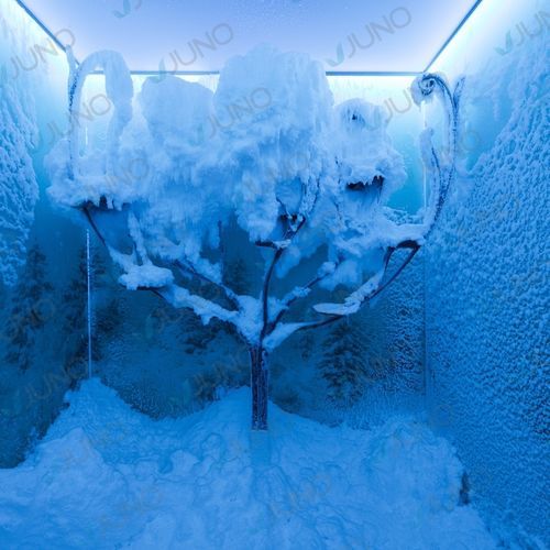 Снежная комната для профессионального использования - Juno SPA Design & Manufacture - для спа-центра / для сауны