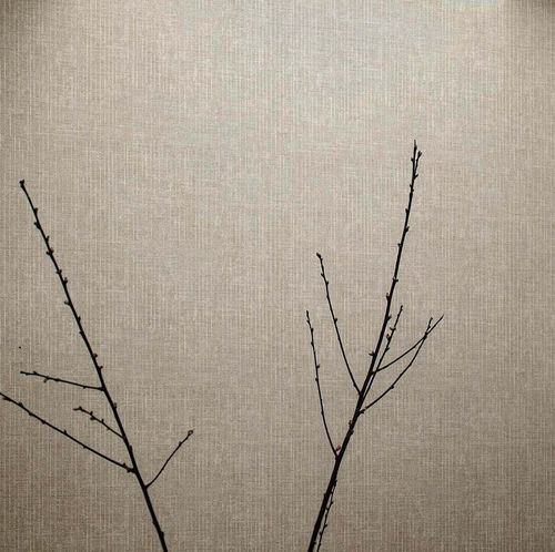 Современный обои - PICTURA : LINEE - Parato - виниловый / однотонный / имитация ткани
