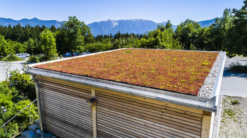 Экстенсивная "зеленая крыша" - MobiRoof ECO - Mobilane - для террасы на крыше / герметичная / уклон меньше 2%