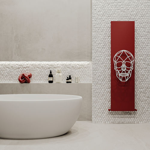 Радиатор на горячей воде - SKULLY - Carisa Designer Radiators - 751 w...1000 w / современный / из алюминия