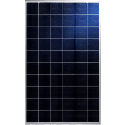 Поликристаллическая фотоэлектрическая панель - MIPRO III TP660P - Talesun Solar - цветная / без PID / с алюминиевой рамой