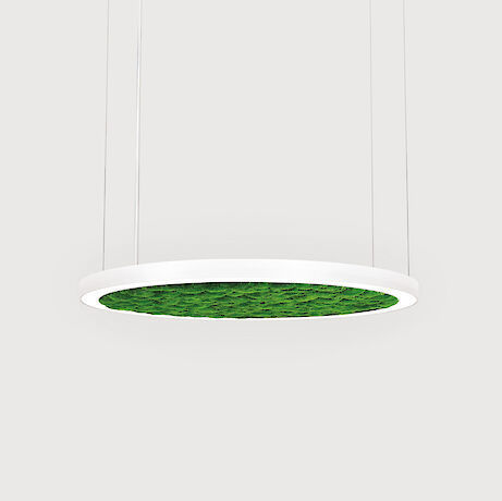 Подвесной светильник - RINGO STAR 60 - Lightnet GmbH  - LED / в высоту / для внутреннего применения