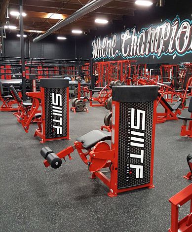 Тренажер сгибание ног - FN-103 - Foreman Fitness Europe GmbH - для интерьера