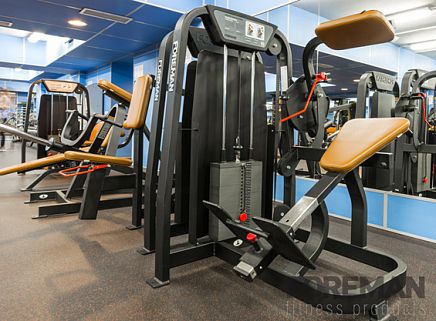 Тренажер растягивание мышц спины - FS-305  - Foreman Fitness Europe GmbH - для интерьера