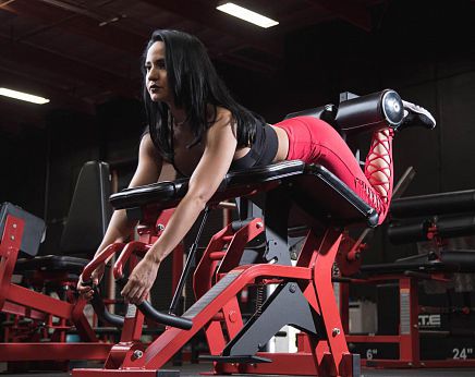 Тренажер сгибание ног - FLY-213 - Foreman Fitness Europe GmbH - для интерьера