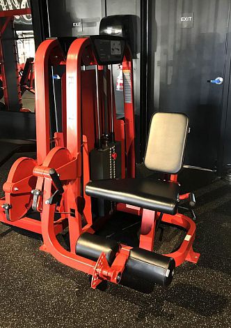 Тренажер разгибание ног - FS-101 - Foreman Fitness Europe GmbH - для интерьера
