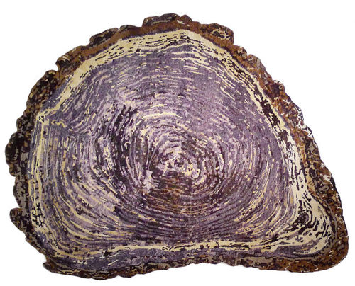Современный ковер - TREE TRUNK - Sonya Winner - с рисунком / из шерсти / из шелка