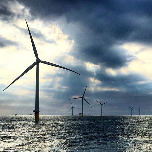 Ветрогенератор с горизонтальной осью - SG 8.0-167  - SIEMENS GAMESA - трехлопастный / оффшорный / на опоре самонесущего элемента