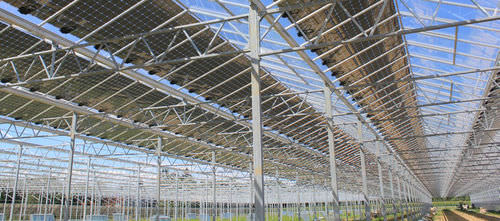 Поликристаллическая фотоэлектрическая панель - PVP-GREENHOUSE  - PVP - прозрачная / для теплицы