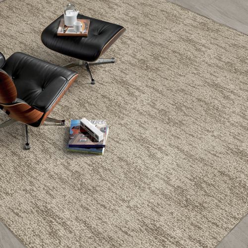 Тафтинговое ковровое покрытие - LIONEL  - Stanton Carpet Corporation - из полиэстера / для профессионального использования / с рисунком