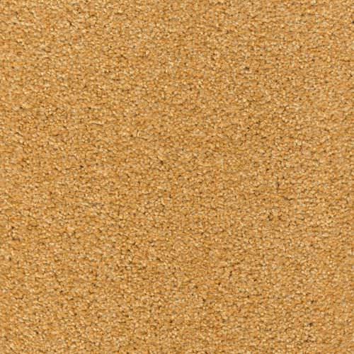 Тафтинговое ковровое покрытие - CARLTON - Anker-Teppichboden - из полиамида / из бархата / для сектора услуг