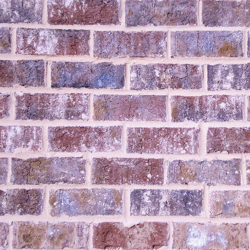 Кирпич для фасада - HARBOUR SHOALS - PINE HALL BRICK - полный / белый