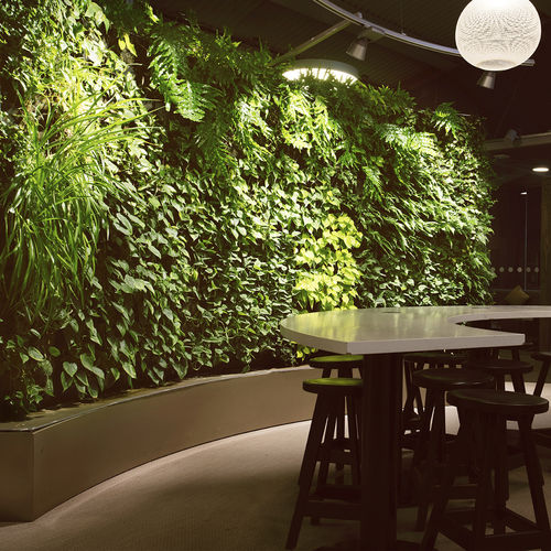 Вертикальный сад из живых растений - LOUNGE AT ARLANDA TERMINAL 2 - GREENWORKS SWEDEN - на заказ / изогнутый / натуральный