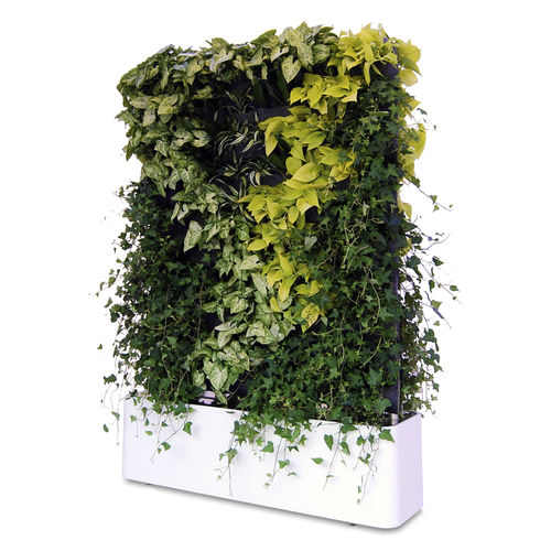 "зеленая стена" из живых растений - MOVING HEDGE - GREENWORKS SWEDEN - из модульных панелей / натуральная / для интерьера