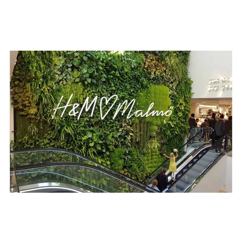 Вертикальный сад из живых растений - H&M AT GUSTAV ADOLFS TORG - GREENWORKS SWEDEN - на заказ / натуральный / для интерьера