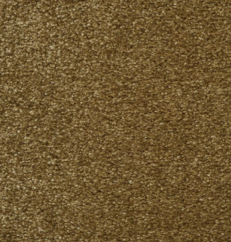 Тафтинговое ковровое покрытие - SOFT  2606 - VAN BESOUW - из полиамида / для профессионального использования / однотонное