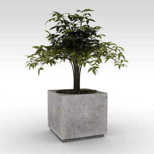 Кадка для садовых растений из натурального камня - basic - Arredo di Pietra srl - из травертина / квадратная / с высоким сопротивлением