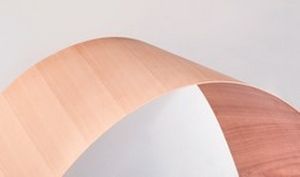 Строительный Фанерная панель - FLEX DECOR - TOUBOIS - для мебели / фанеровка