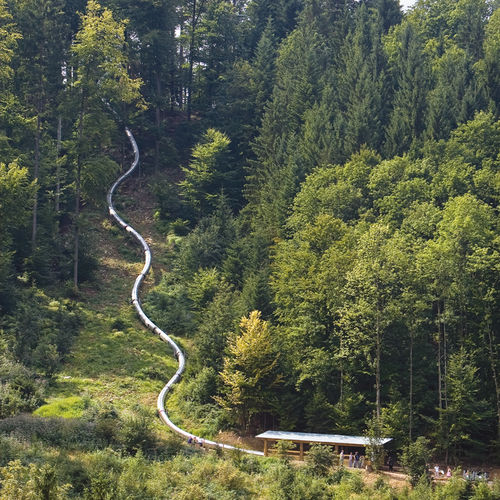 Поворотная горка - TREE TOP WALK WALDKIRCH  - atlantics GmbH - для игровой площадки / из нержавеющей стали / трубчатая