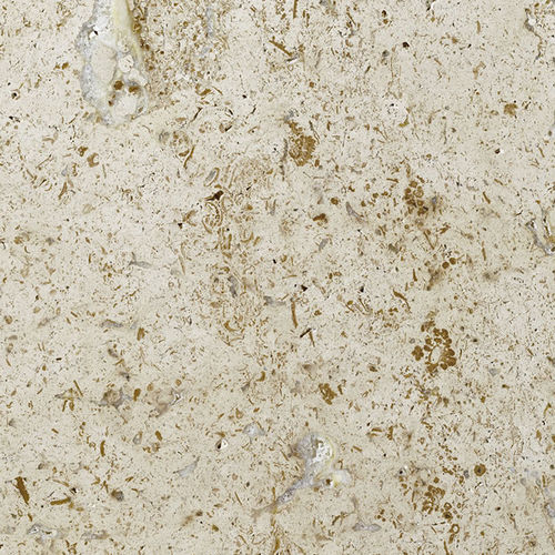 Плита из камня из травертина - GAUING - Lauster Steinbau GmbH Natursteinwerke - для напольной поверхности / настенная / полированная