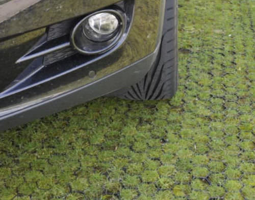 Газонная решетка - PROGRASS - Ritter GmbH