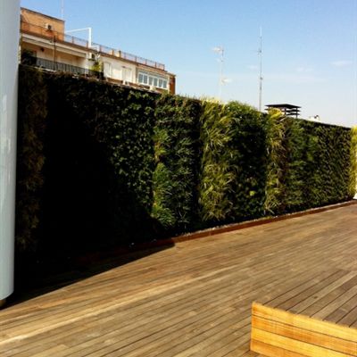 "зеленая стена" из живых растений - PRIVATE PENTHOUSE - Paisajismo Urbano - из модульных панелей / натуральная / для сада