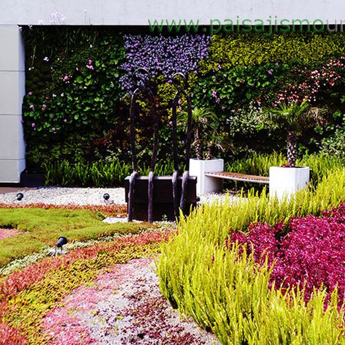 Стабилизированная "зеленая стена" - BIOMAX  - Paisajismo Urbano - из модульных панелей / натуральная / из стабилизированного мха