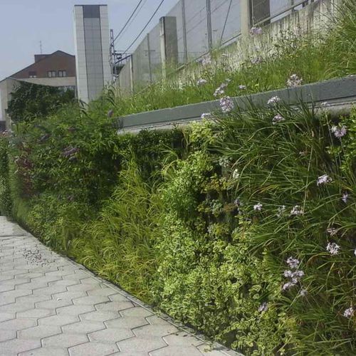 "зеленая стена" из живых растений - BERANGO, BIZKAIA - Paisajismo Urbano - из модульных панелей / натуральная / для сада