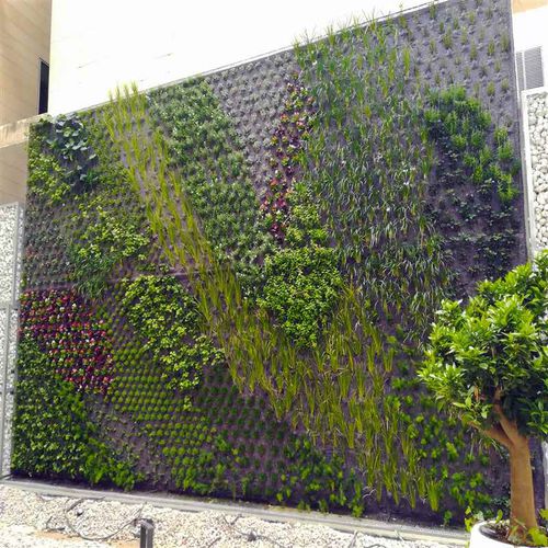 "зеленая стена" из живых растений - AVDA. GENERAL MARVA, ALICANTE - Paisajismo Urbano - из модульных панелей / натуральная / для сада