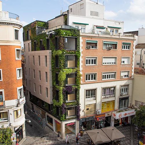 Стабилизированная "зеленая стена" - MONTERA STREET - MADRID - Paisajismo Urbano - из модульных панелей / натуральная / для сада