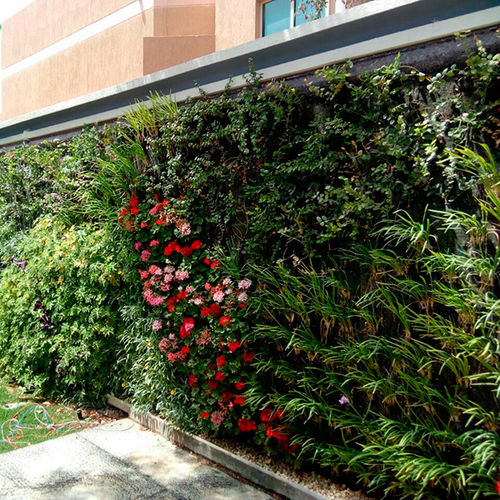 "зеленая стена" из живых растений - KSA - PRIVATE RESIDENCE - Paisajismo Urbano - из модульных панелей / натуральная / цветы
