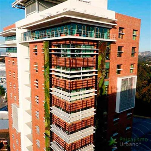 "зеленая стена" из живых растений - GUATEMALA - CRECE BUILDING - Paisajismo Urbano - стойка / натуральная / цветы