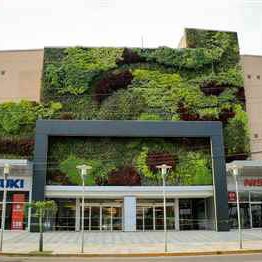 "зеленая стена" из живых растений - BOLIVIA - LAS BRISAS MALL - Paisajismo Urbano - из модульных панелей / натуральная / из стабилизированного мха