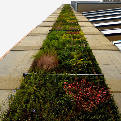 "зеленая стена" из живых растений - VERTICAL ECOSYSTEM IN COLOMBIA - Paisajismo Urbano - из модульных панелей / стойка / натуральная