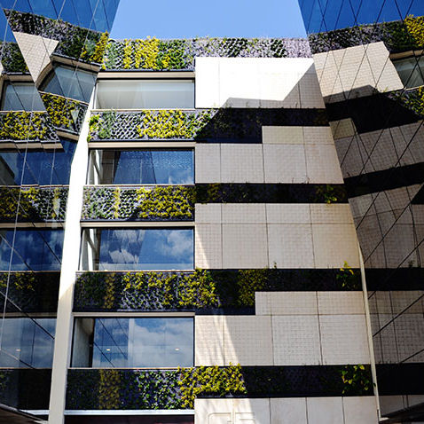 Стабилизированная "зеленая стена" - CONNECTA G4-G5 BUSINESS PARK BUILDING - Paisajismo Urbano - из живых растений / из модульных панелей / натуральная