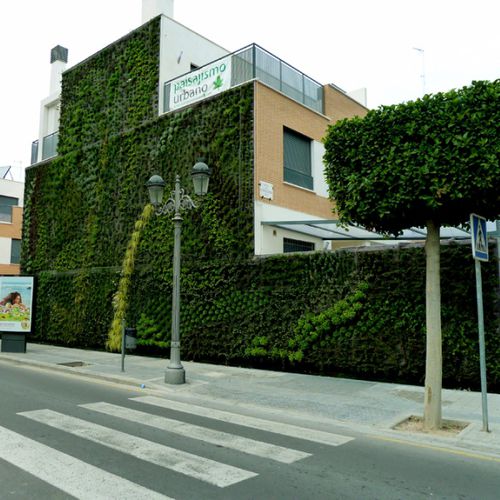 "зеленая стена" из живых растений - VALENCIA - Paisajismo Urbano - из модульных панелей / натуральная / мох