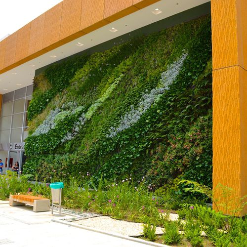 "зеленая стена" из живых растений - ARMENIA SHOPPING CENTER - Paisajismo Urbano - из модульных панелей / натуральная / для сада