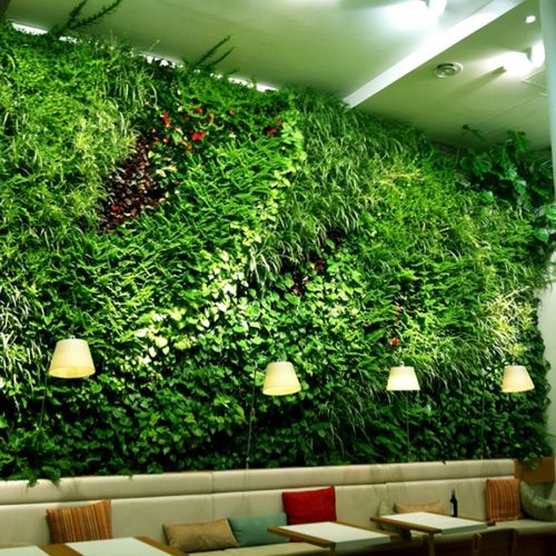 "зеленая стена" из живых растений - RESTAURANT IN MADRID - Paisajismo Urbano - из модульных панелей / натуральная / из стабилизированного мха