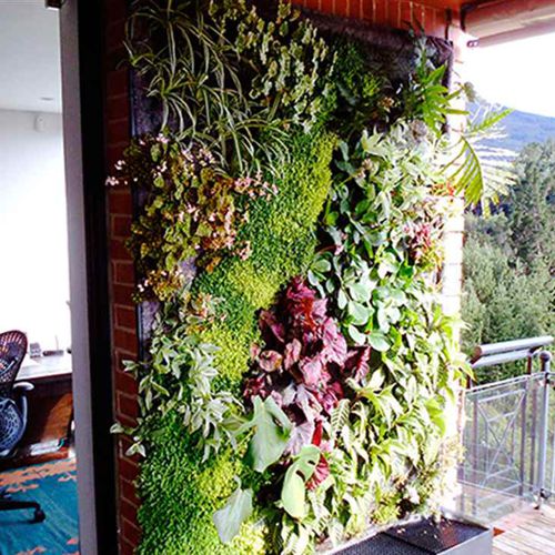 "зеленая стена" из живых растений - COLOMBIA – PRIVATE HOUSE, BOGOTÁ - Paisajismo Urbano - из модульных панелей / натуральная / цветы