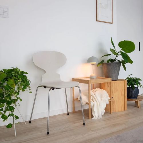 Современный cтул - ANT™  - Fritz Hansen - для интерьера / из фанерованной древесины / из вяза